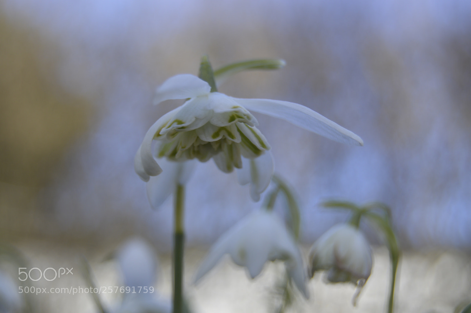 Nikon D3200 sample photo. Dansk natur photography