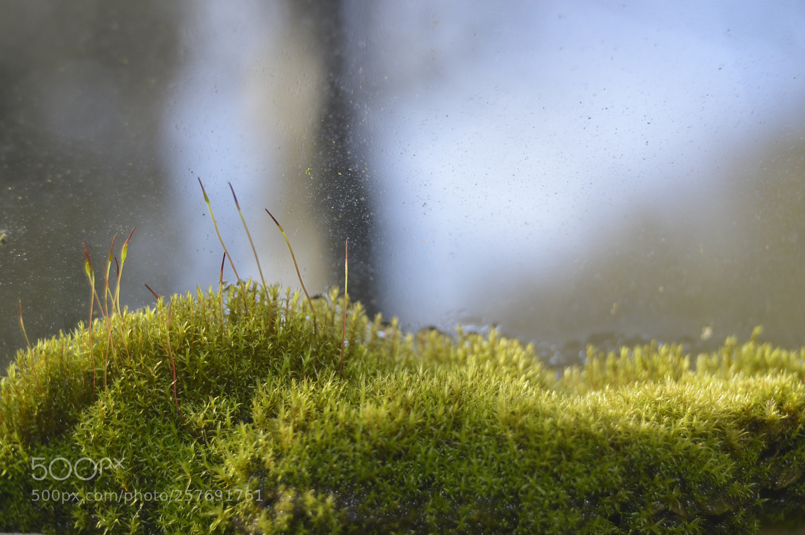 Nikon D3200 sample photo. Dansk natur photography