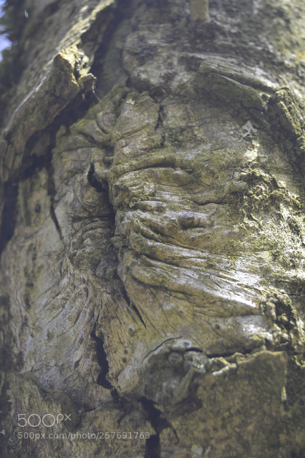 Nikon D3200 sample photo. Dansk natur photography