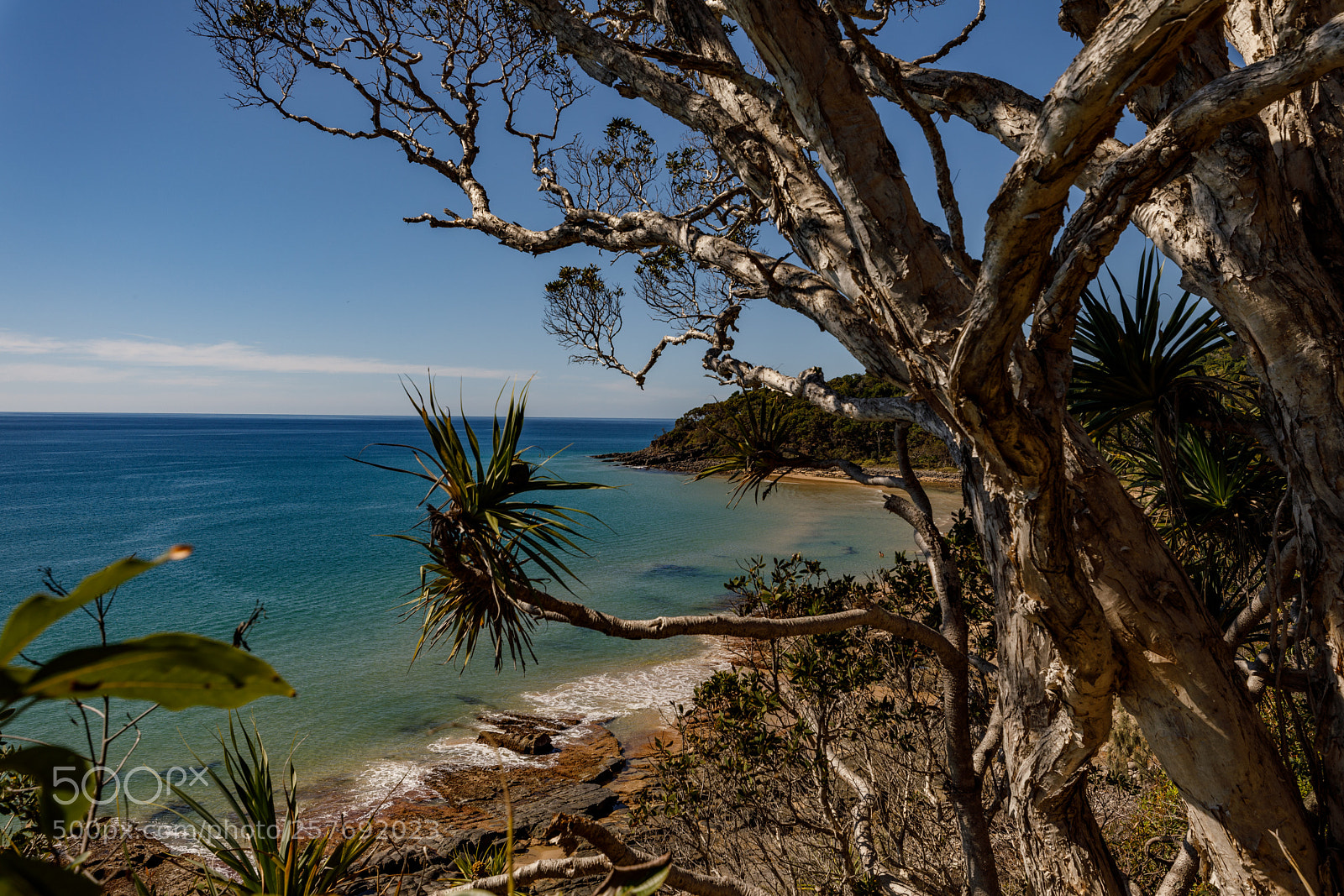Canon EOS 5D Mark IV sample photo. Noosa national park photography