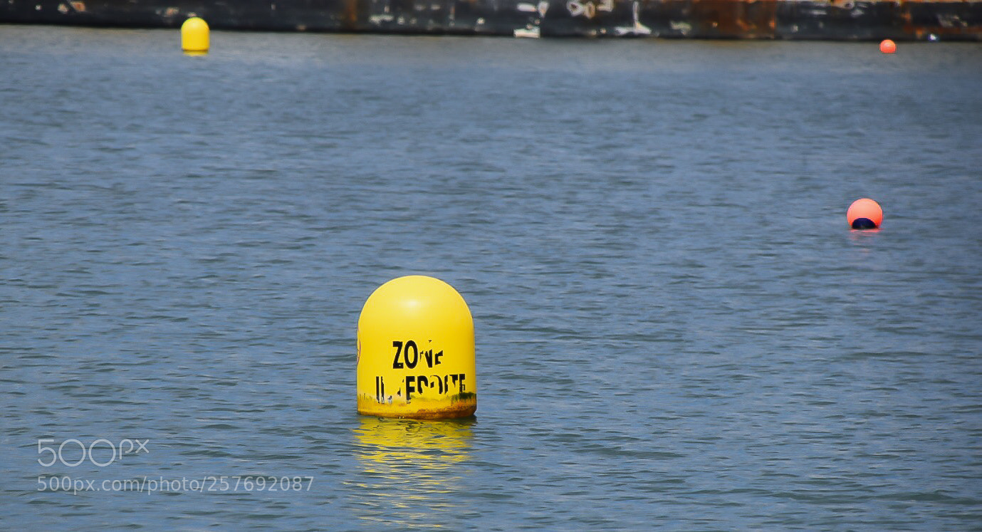 Nikon D5300 sample photo. Zone interdite... photography