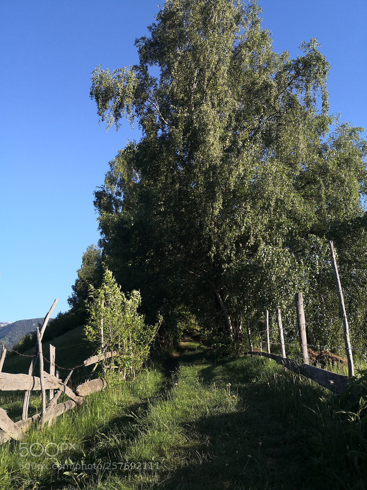 HUAWEI Mate 10 Pro sample photo. Nature photography