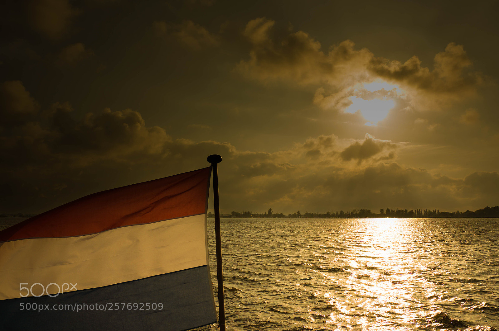 Sony Alpha NEX-5N sample photo. Sunshine in netherlands photography