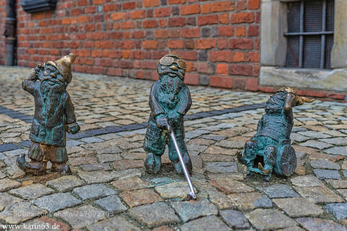 Sony a7 II sample photo. Die zwerge von breslau photography