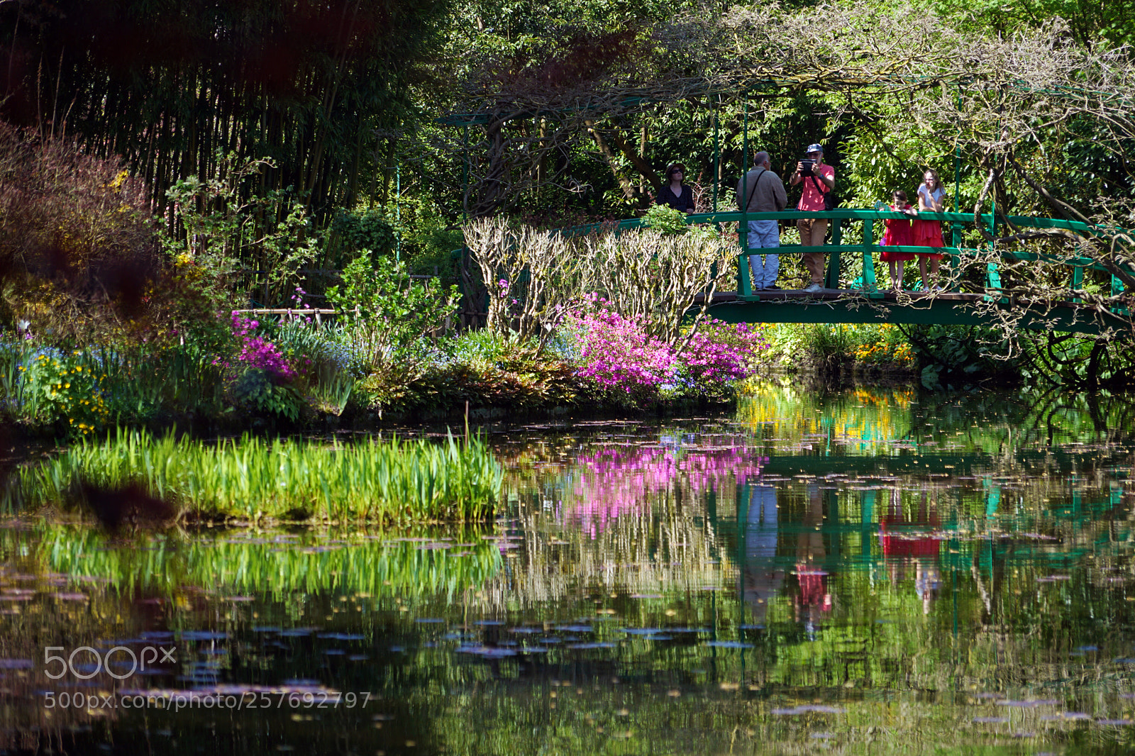 Sony a7 II sample photo. Sur les traces de photography