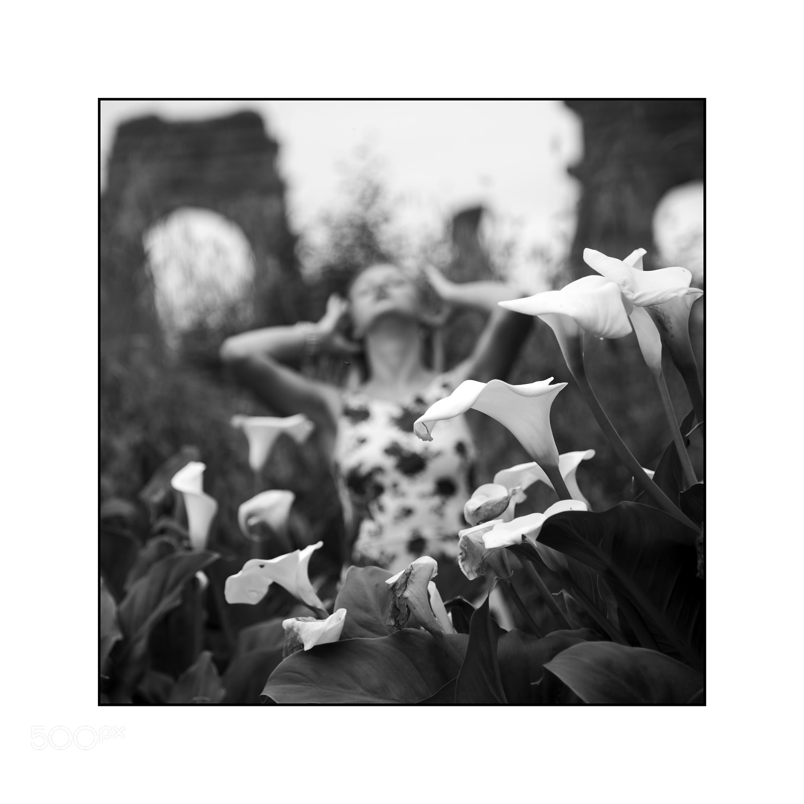 Nikon D750 sample photo. Calla photography