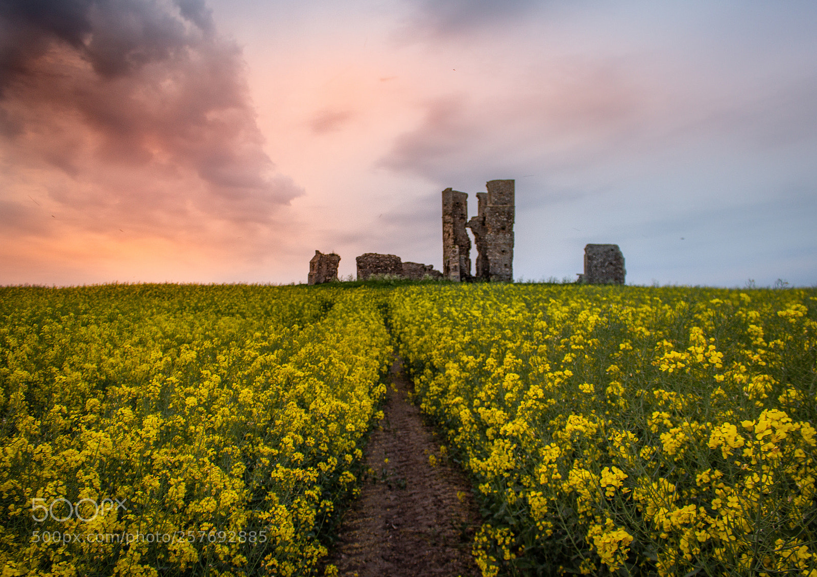Canon EOS 100D (EOS Rebel SL1 / EOS Kiss X7) sample photo. Rapeseed ruins photography
