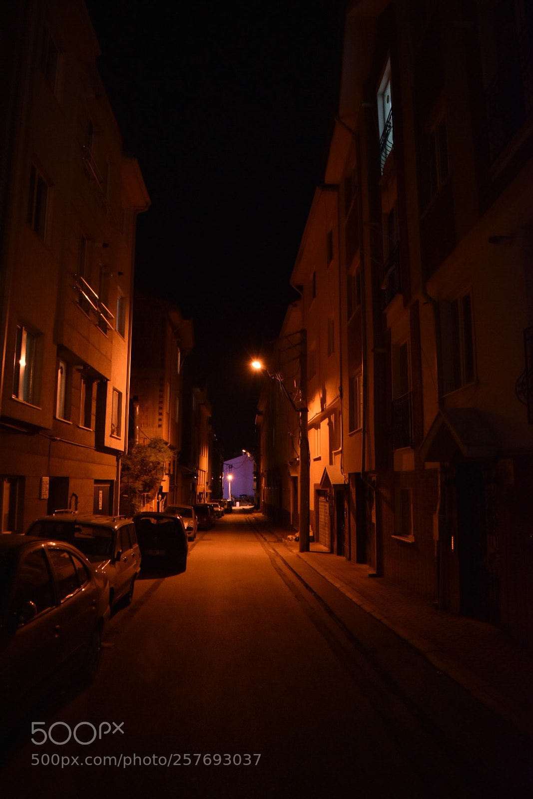 Nikon D5500 sample photo. Untitled photography