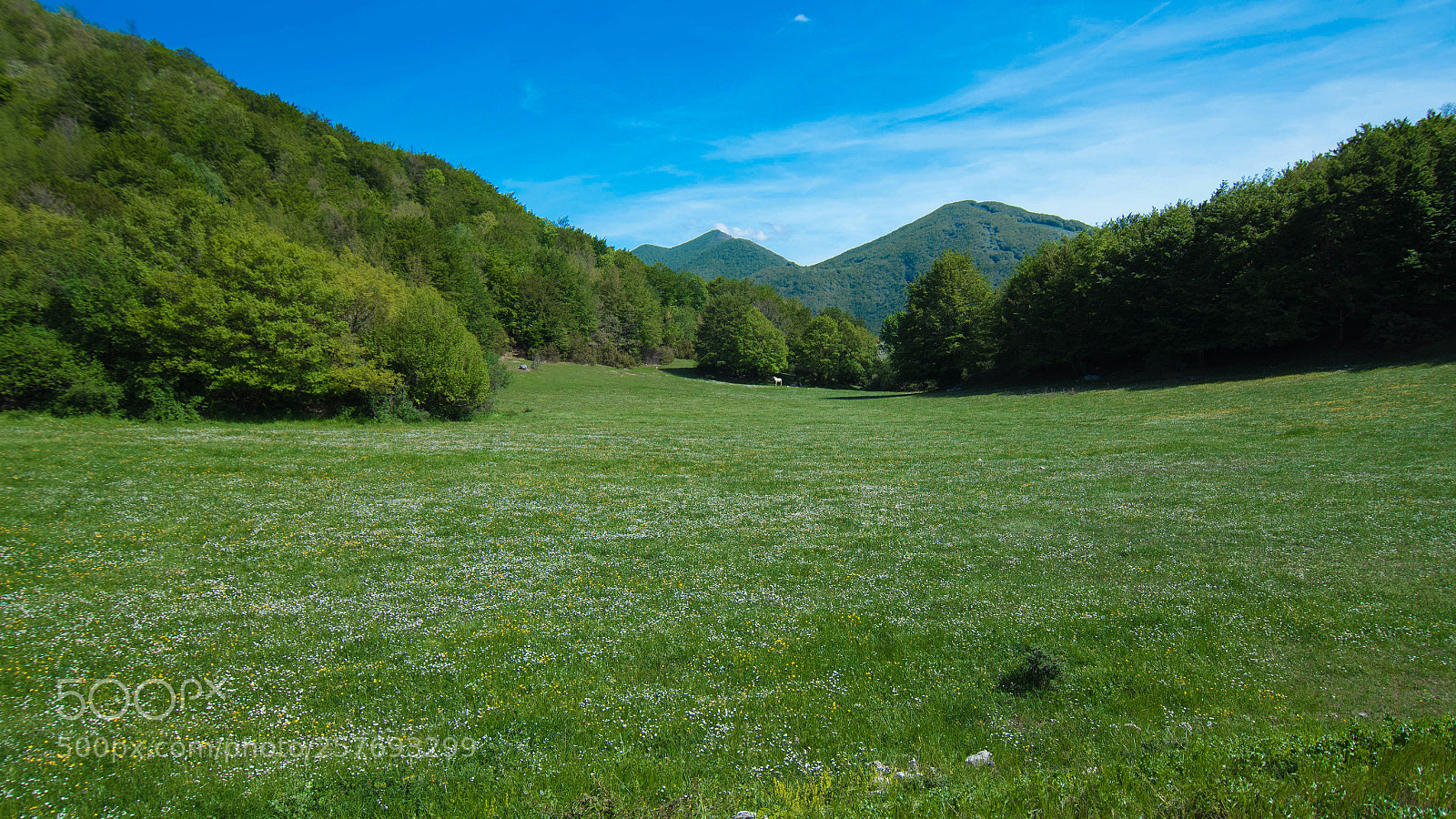 Nikon D750 sample photo. Spring landscape photography