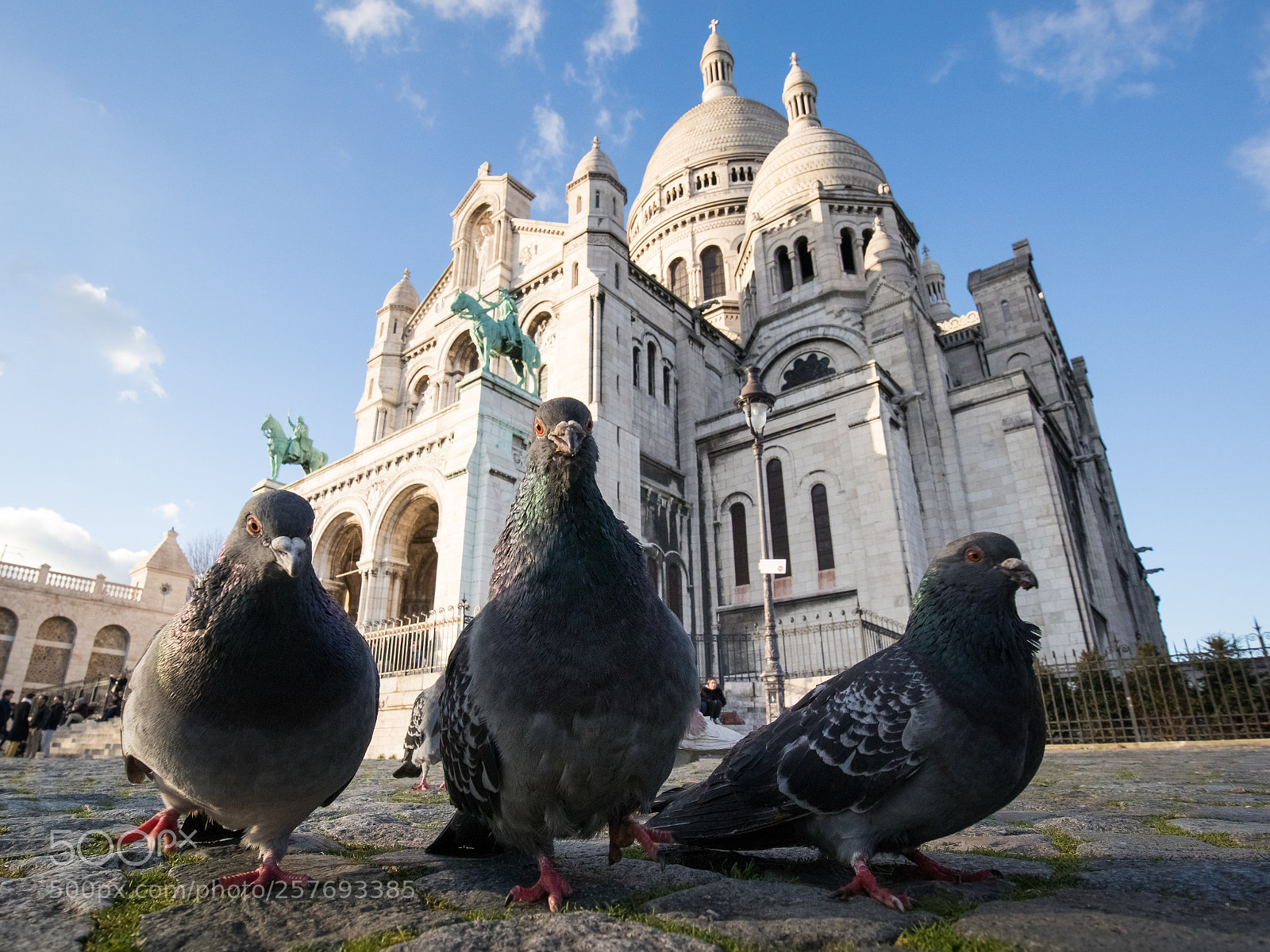 Canon EOS M5 sample photo. Montmartre pigeons boys band photography