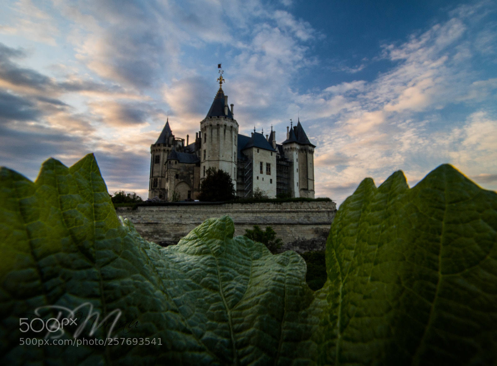 Canon EOS 750D (EOS Rebel T6i / EOS Kiss X8i) sample photo. A castle in a photography