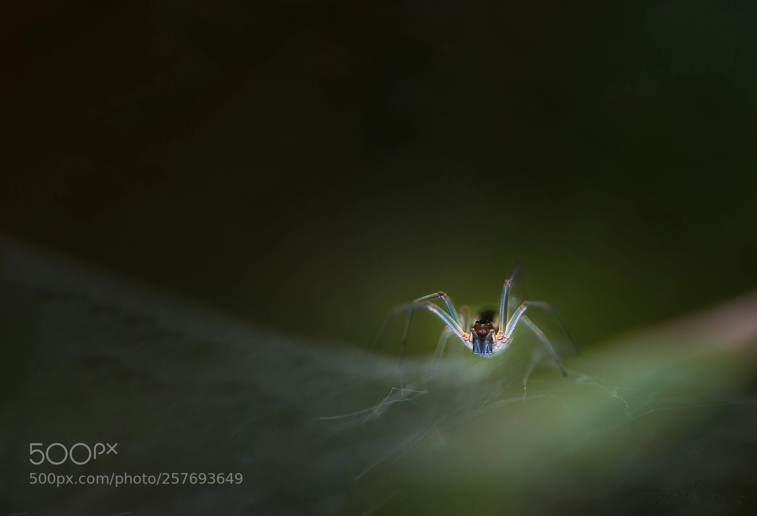 Nikon D810 sample photo. Puits de lumière photography