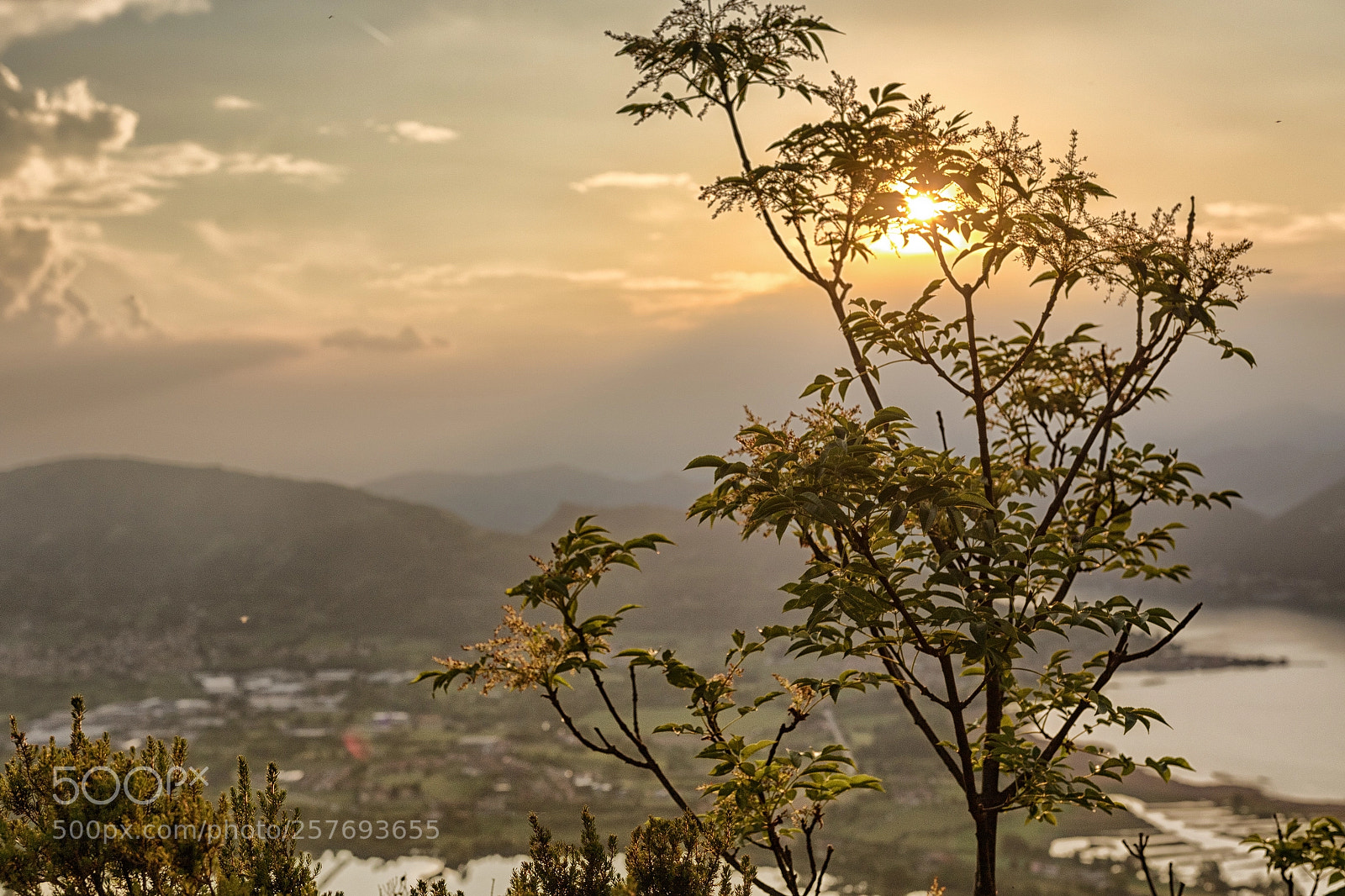 Canon EOS 7D Mark II sample photo. Balota del coren photography