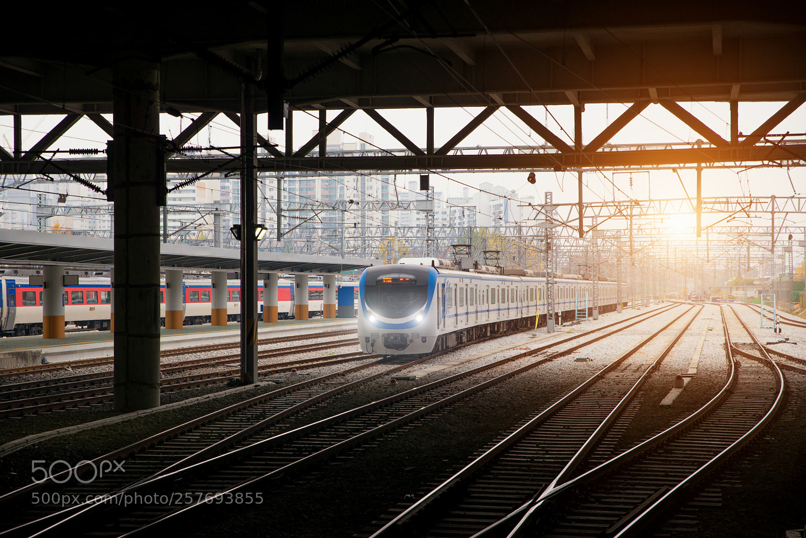 Nikon D800 sample photo. Korea train on railway photography