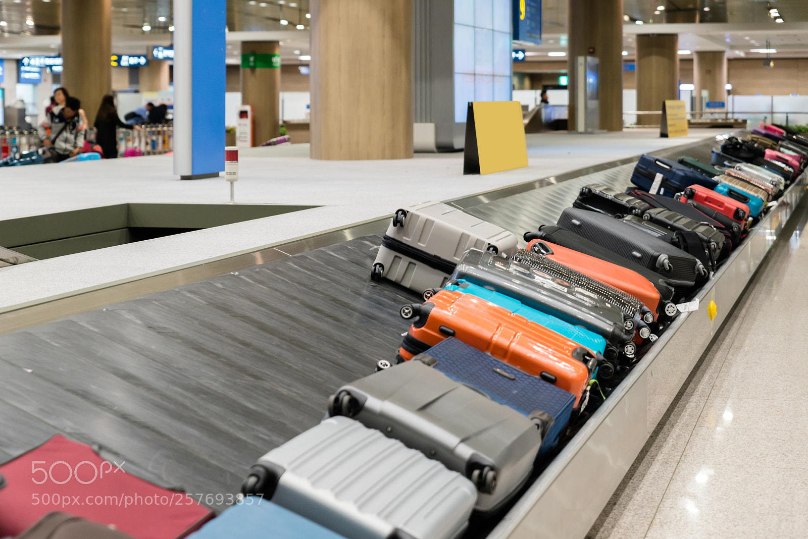 Nikon D800 sample photo. Suitcase or luggage with photography