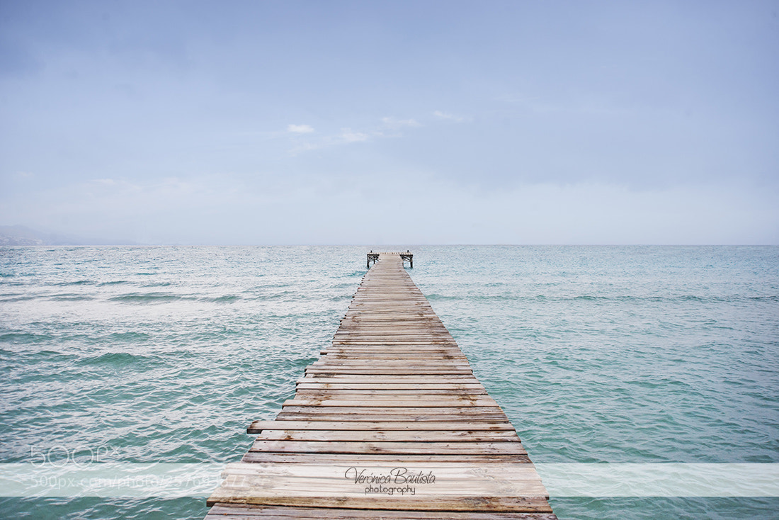 Nikon D610 sample photo. Paradise photography