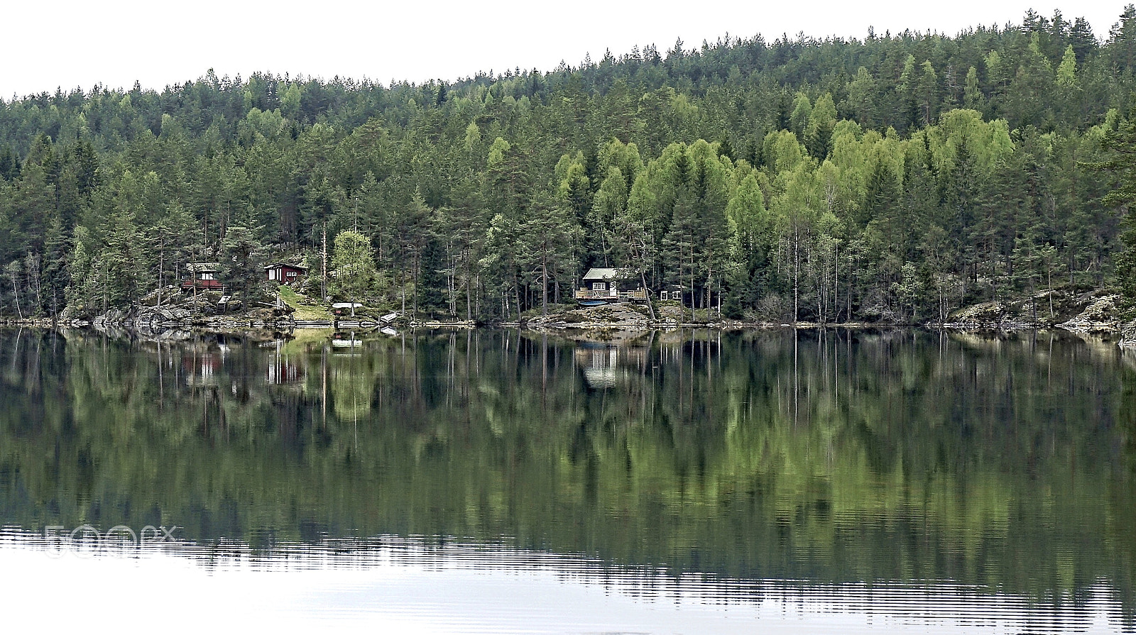 Sony a7 II sample photo. Varsjøen photography