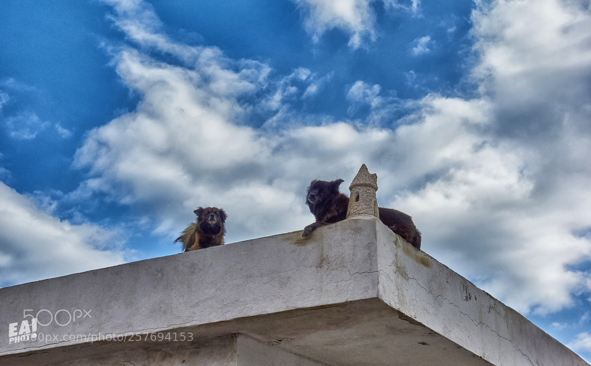 Sony Cyber-shot DSC-RX100 sample photo. Sky guardians photography