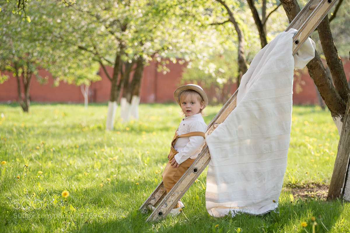 Nikon D750 sample photo. Untitled photography