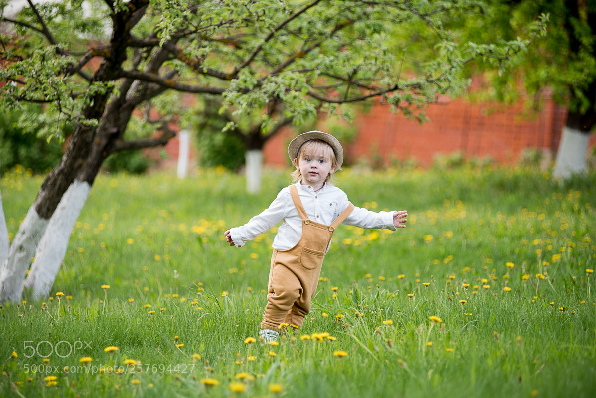 Nikon D750 sample photo. Untitled photography
