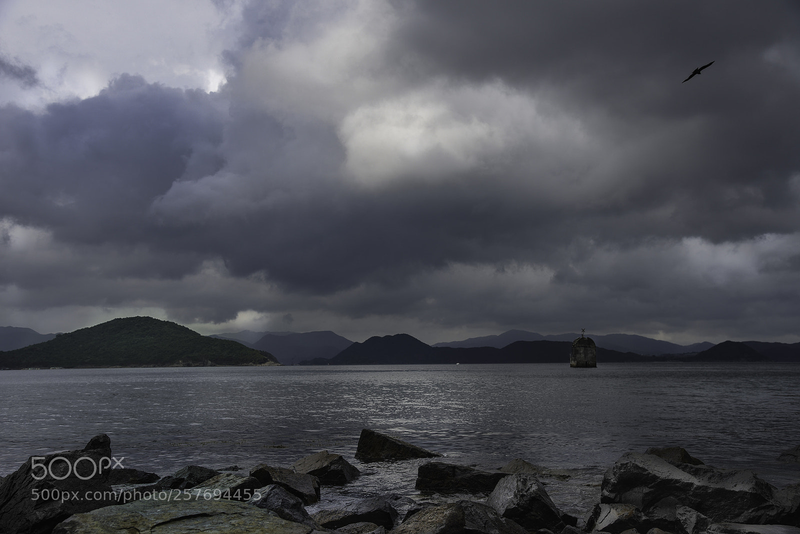 Nikon D750 sample photo. Hkust photography