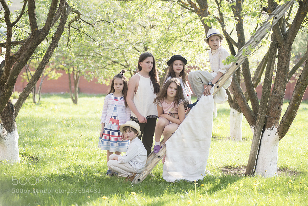 Nikon D750 sample photo. Untitled photography