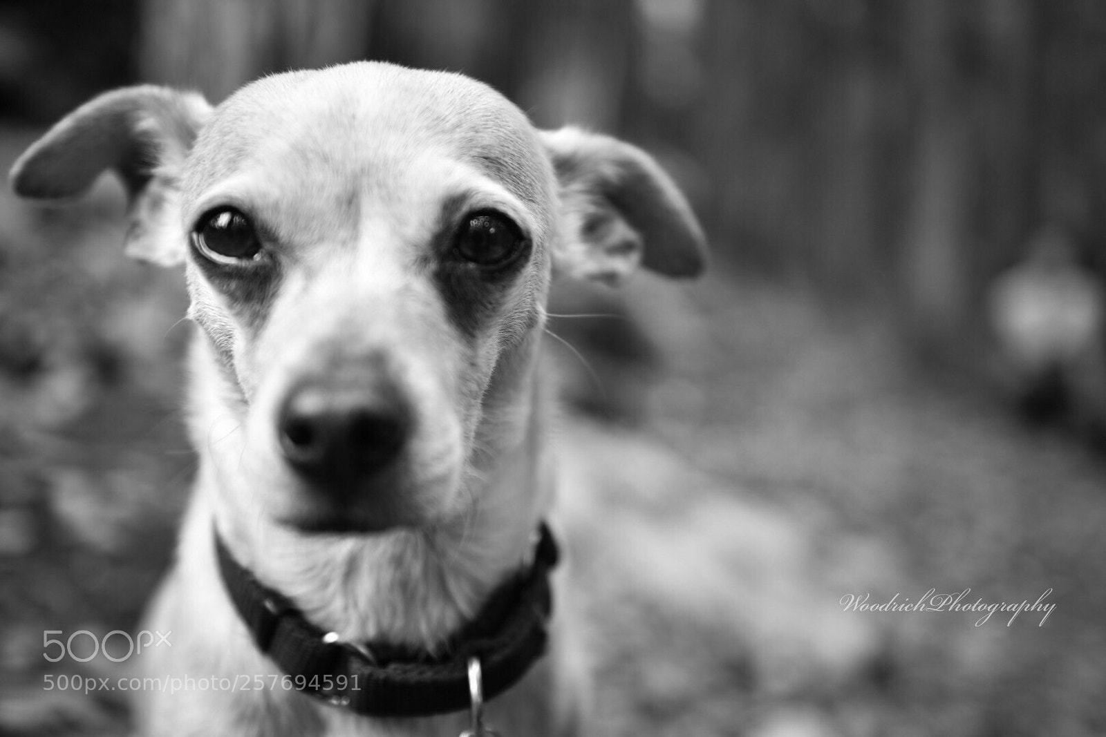 Nikon D750 sample photo. Untitled photography