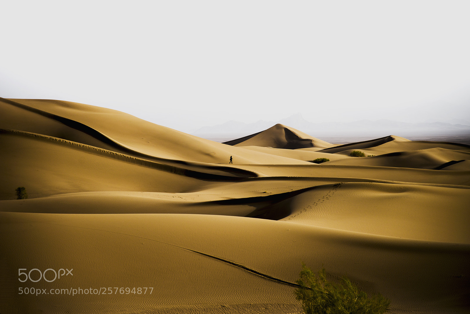 Nikon D810 sample photo. 180414_3030.jpg photography