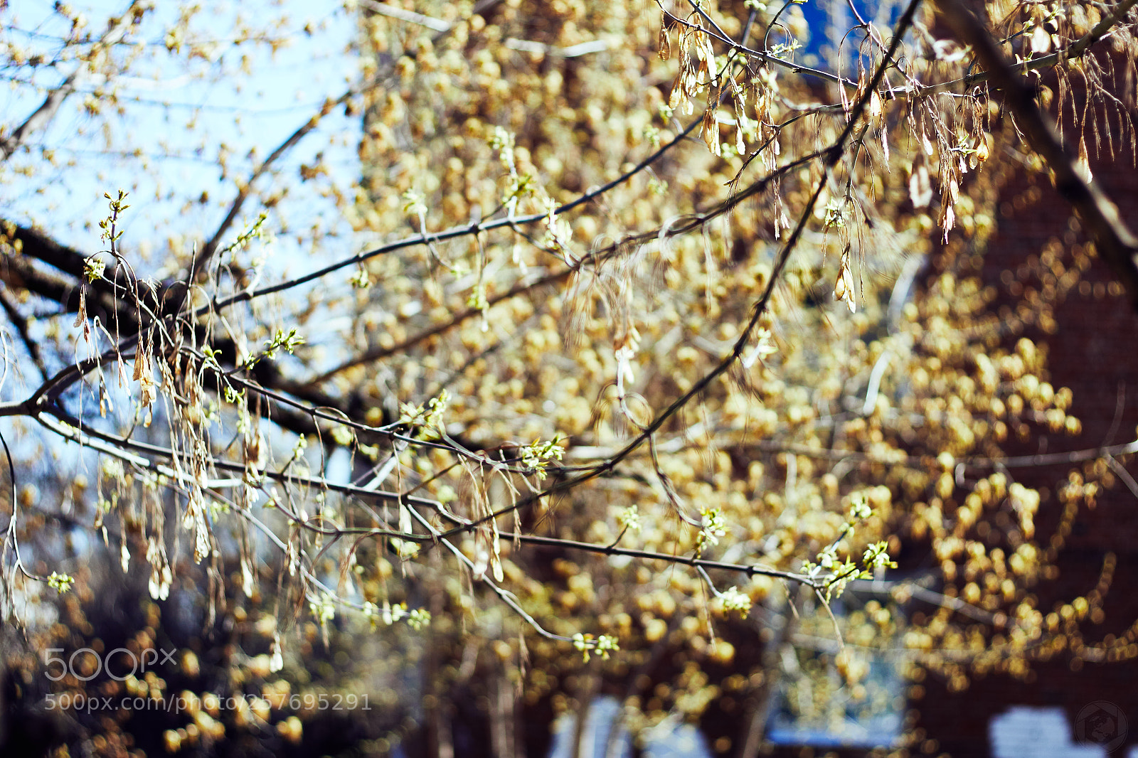 Canon EOS 1300D (EOS Rebel T6 / EOS Kiss X80) sample photo. Ropes photography