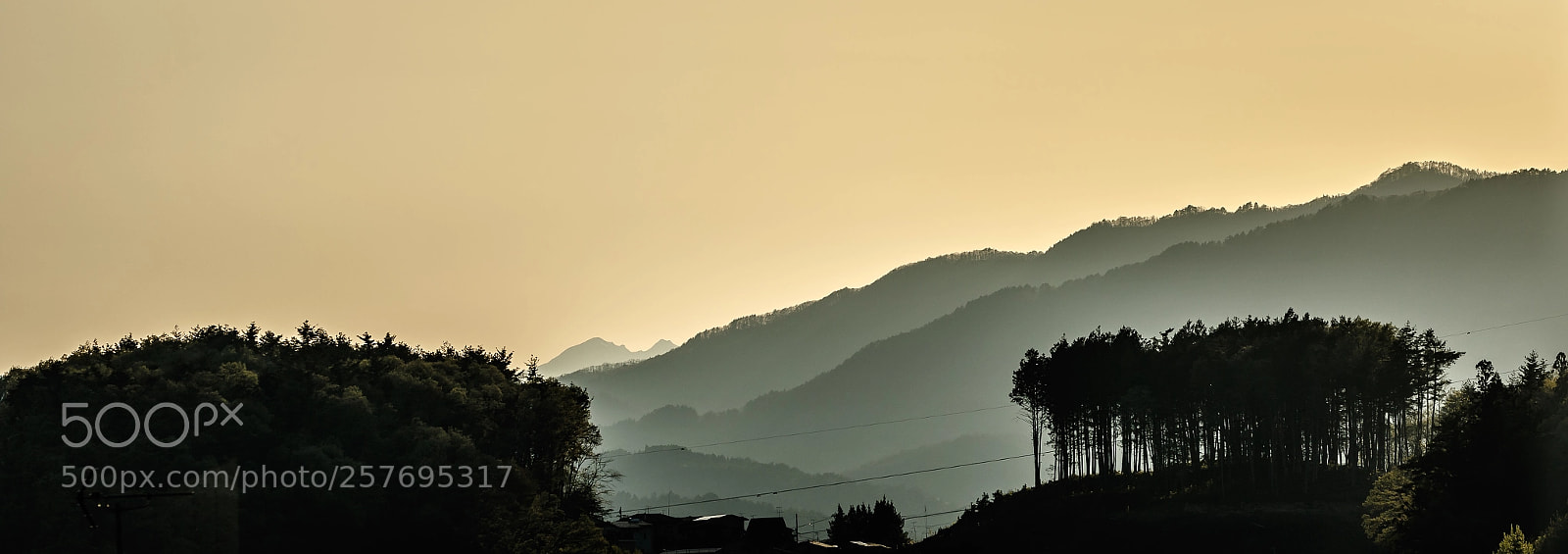 Canon EOS 7D Mark II sample photo. Hakonetuin sunrise photography