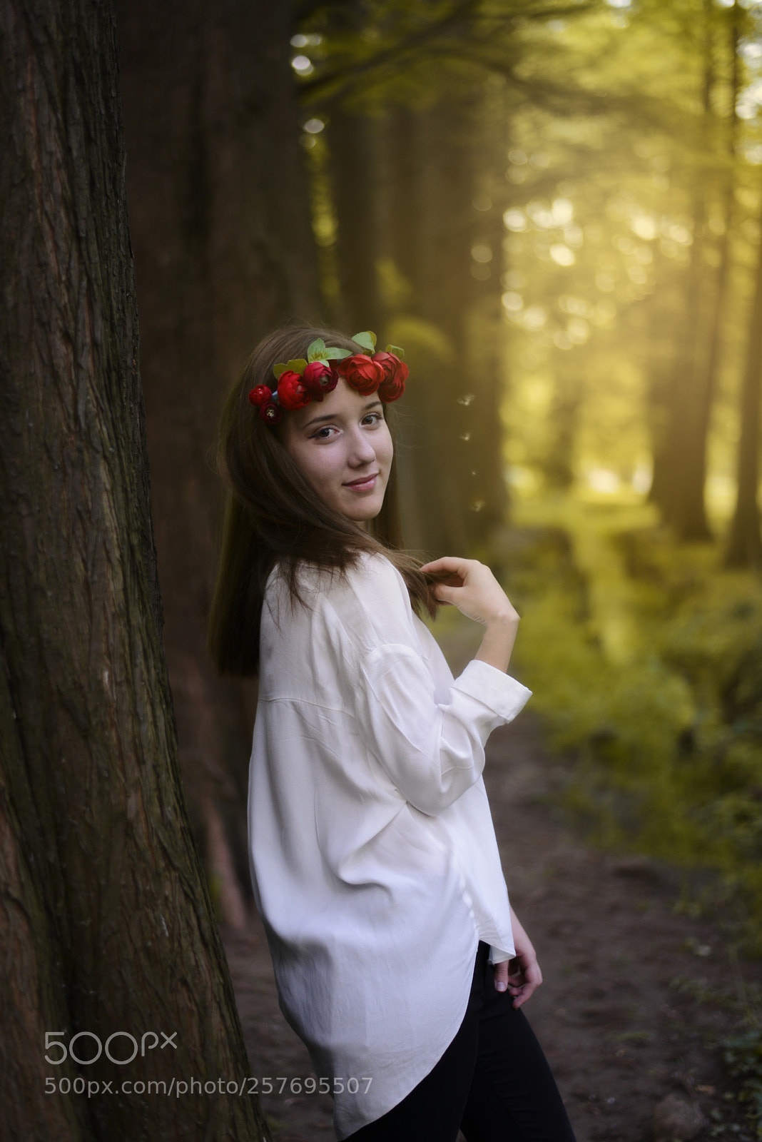 Nikon D600 sample photo. Dream photography