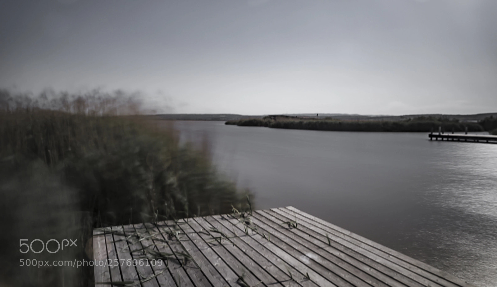 Nikon D610 sample photo. Playing with light photography