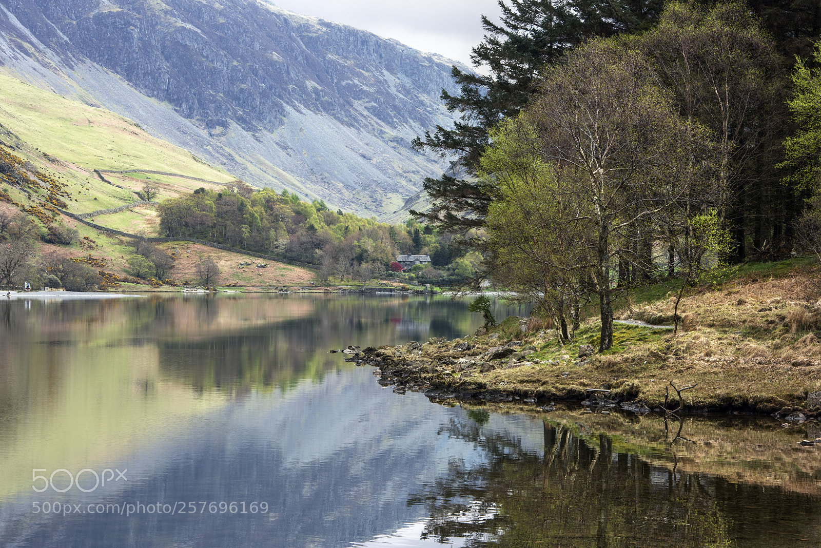 Nikon D800 sample photo. Buttermere photography
