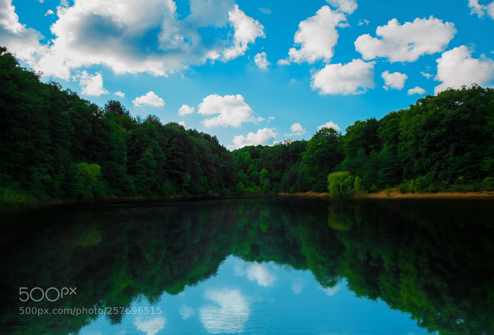 Nikon D5300 sample photo. Reflection photography