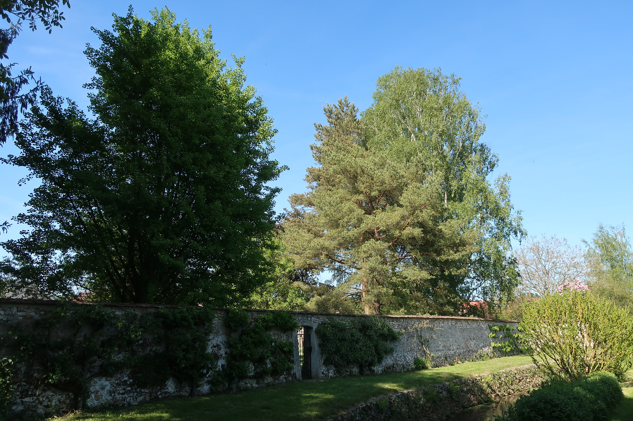 Canon PowerShot G9 X Mark II sample photo. Deep france. photography