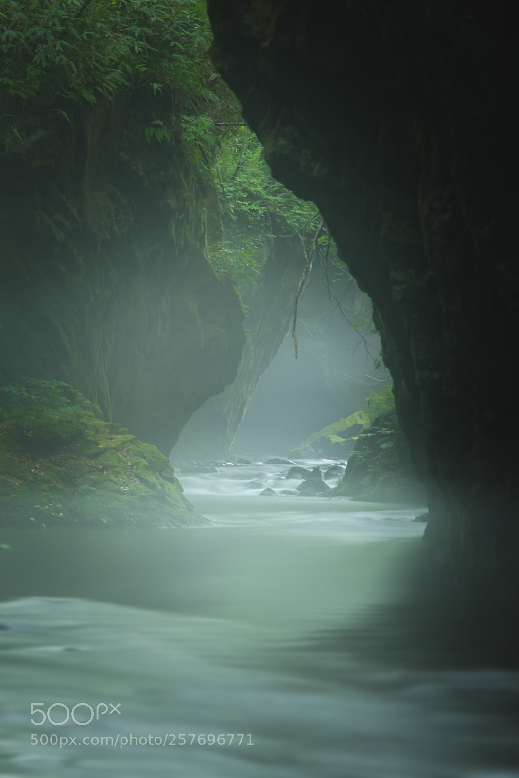 Nikon D750 sample photo. 18-13:green valley photography