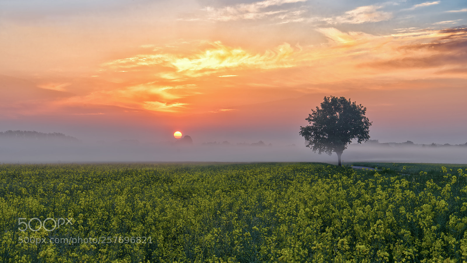 Sony a7 sample photo. Sunrise photography