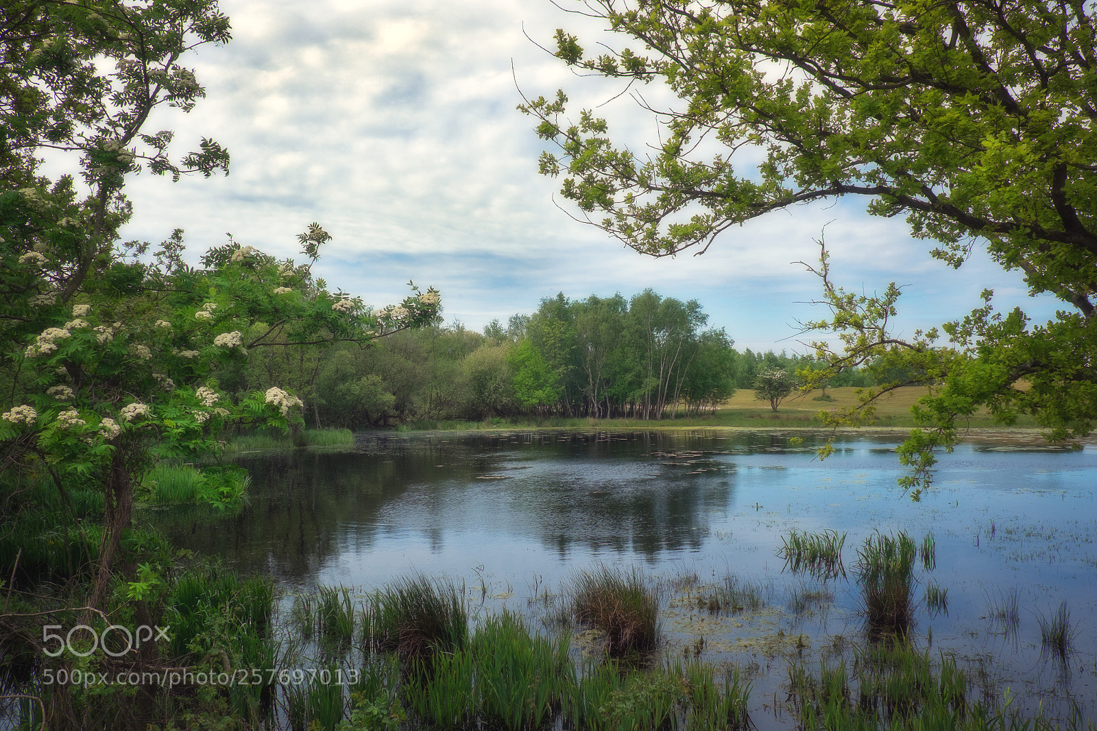 Fujifilm X-T1 sample photo. More pure nature photography