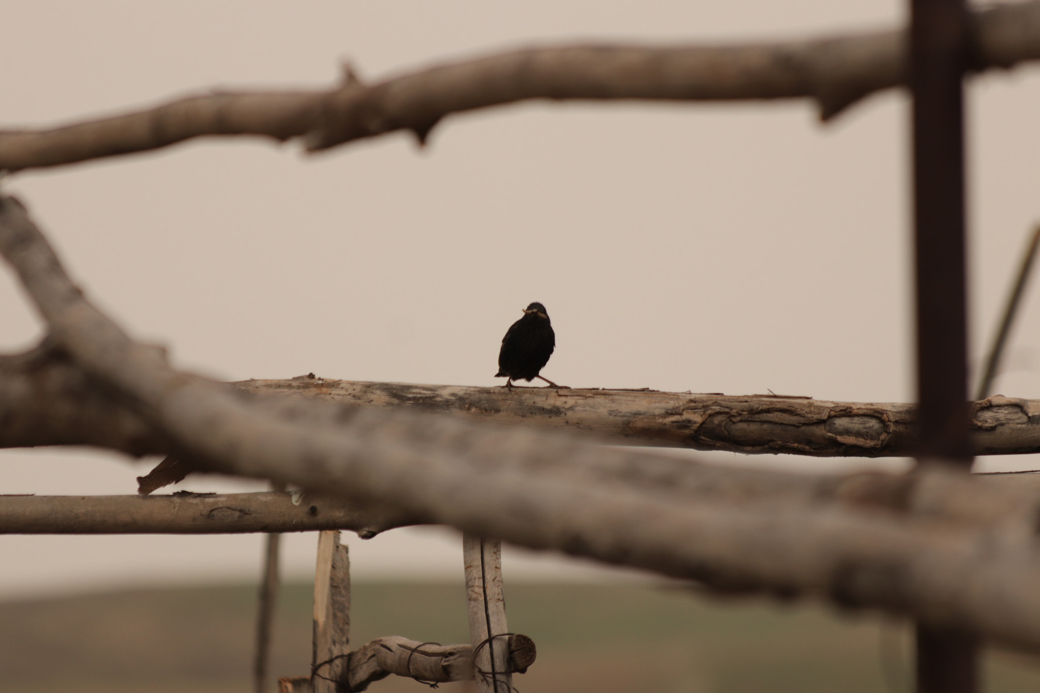 Canon EOS 77D (EOS 9000D / EOS 770D) sample photo. Darkness photography