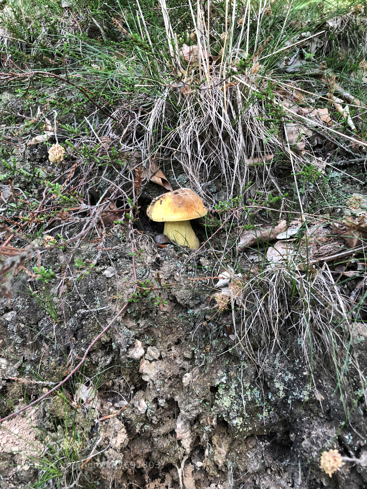 Apple iPhone 8 sample photo. Untitled photography