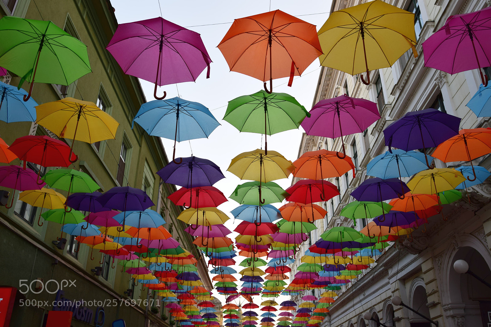 Nikon D3300 sample photo. Colors photography