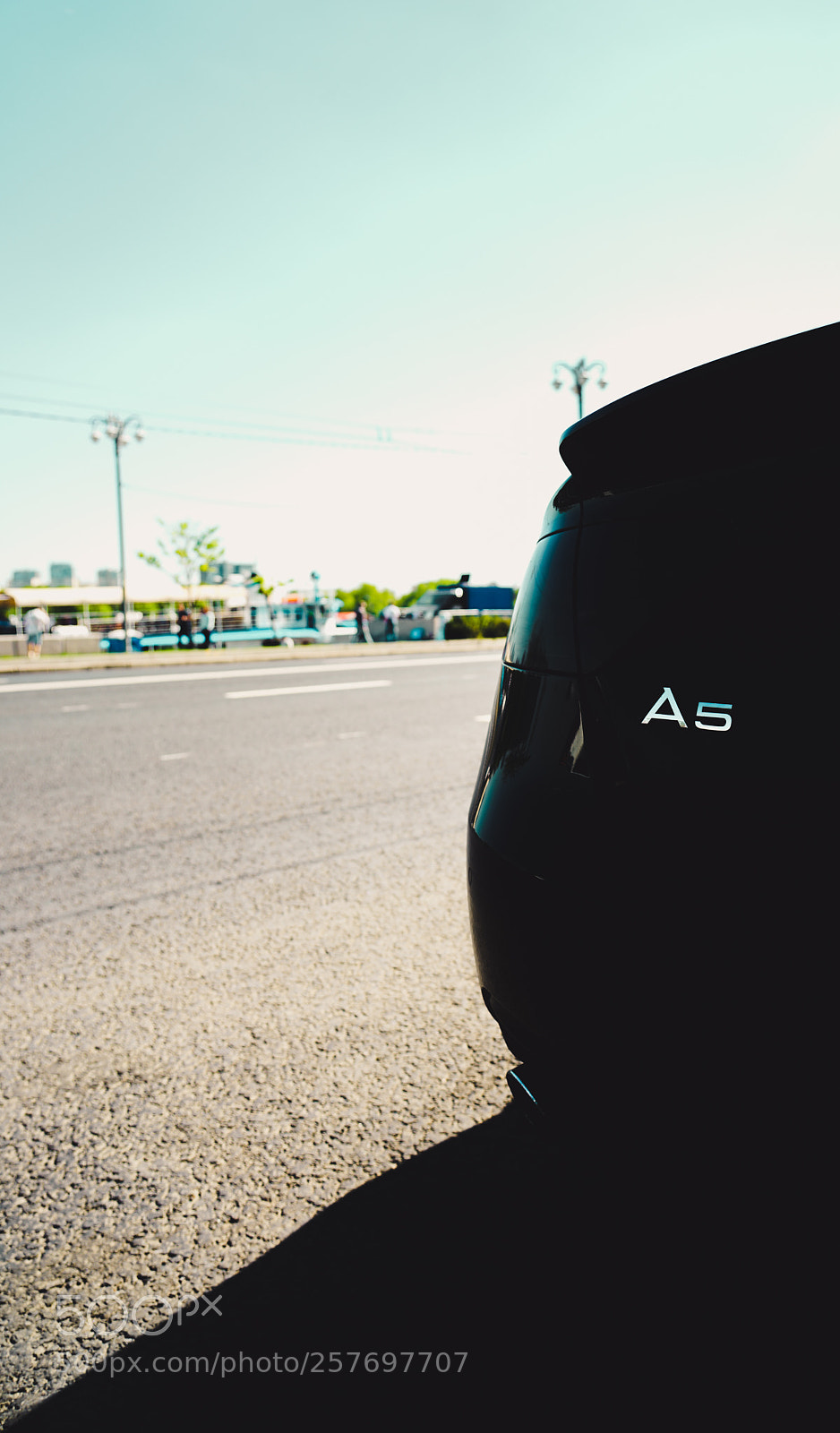Sony a7 II sample photo. Black mamba photography
