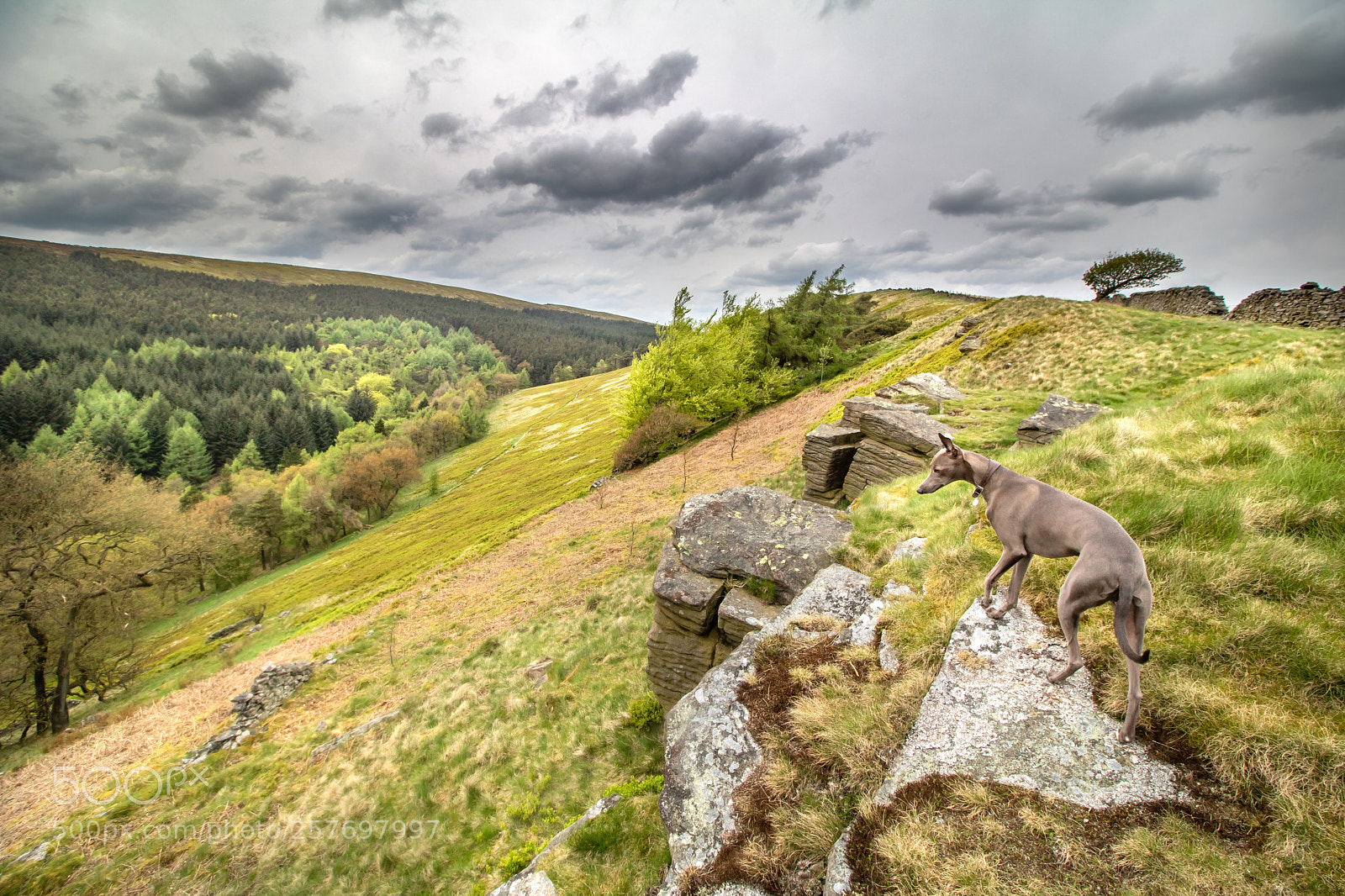 Canon EOS 750D (EOS Rebel T6i / EOS Kiss X8i) sample photo. Goyt valley photography