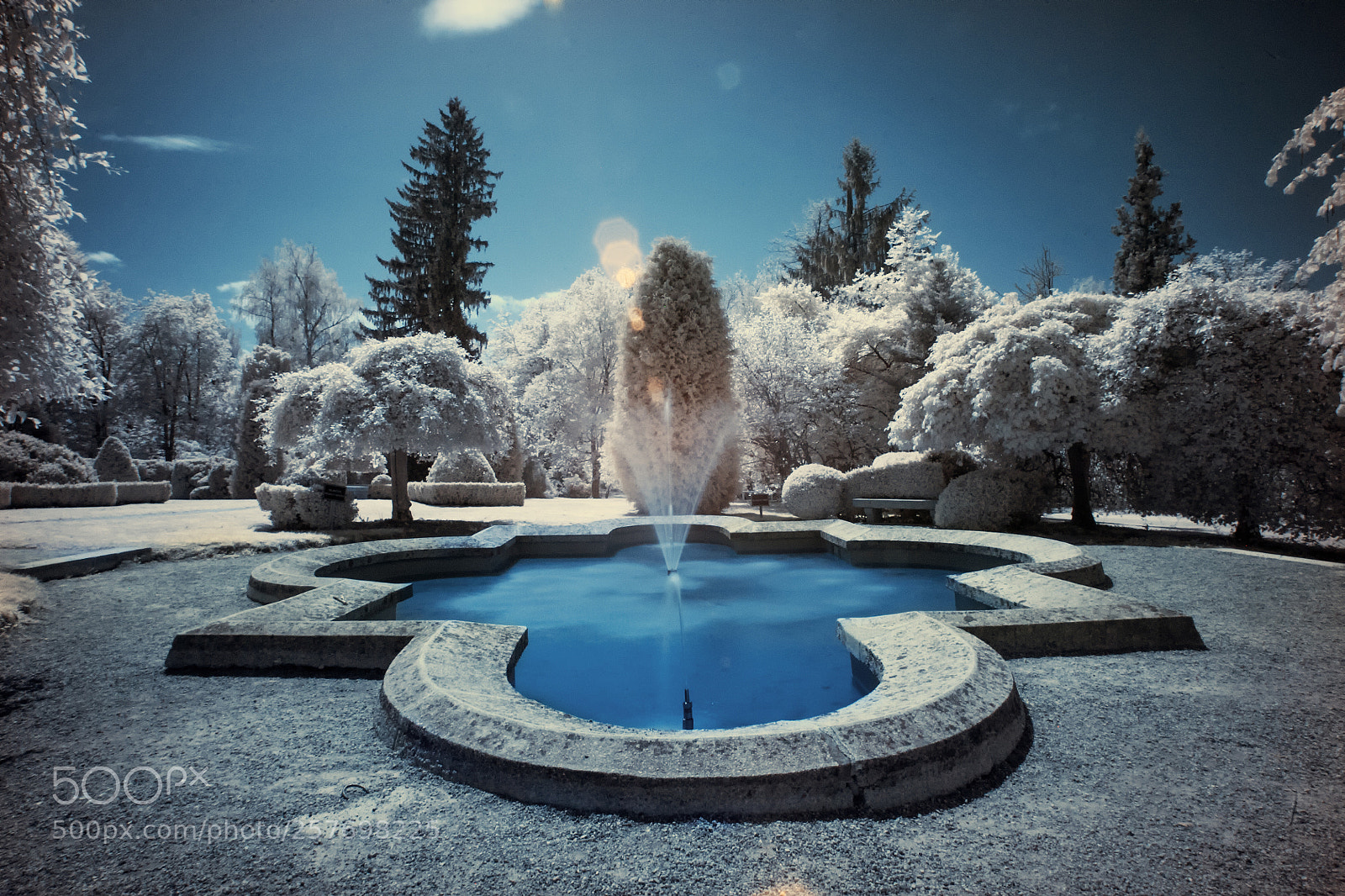 Canon EOS 5D sample photo. Infrared volcji potok arboretum photography