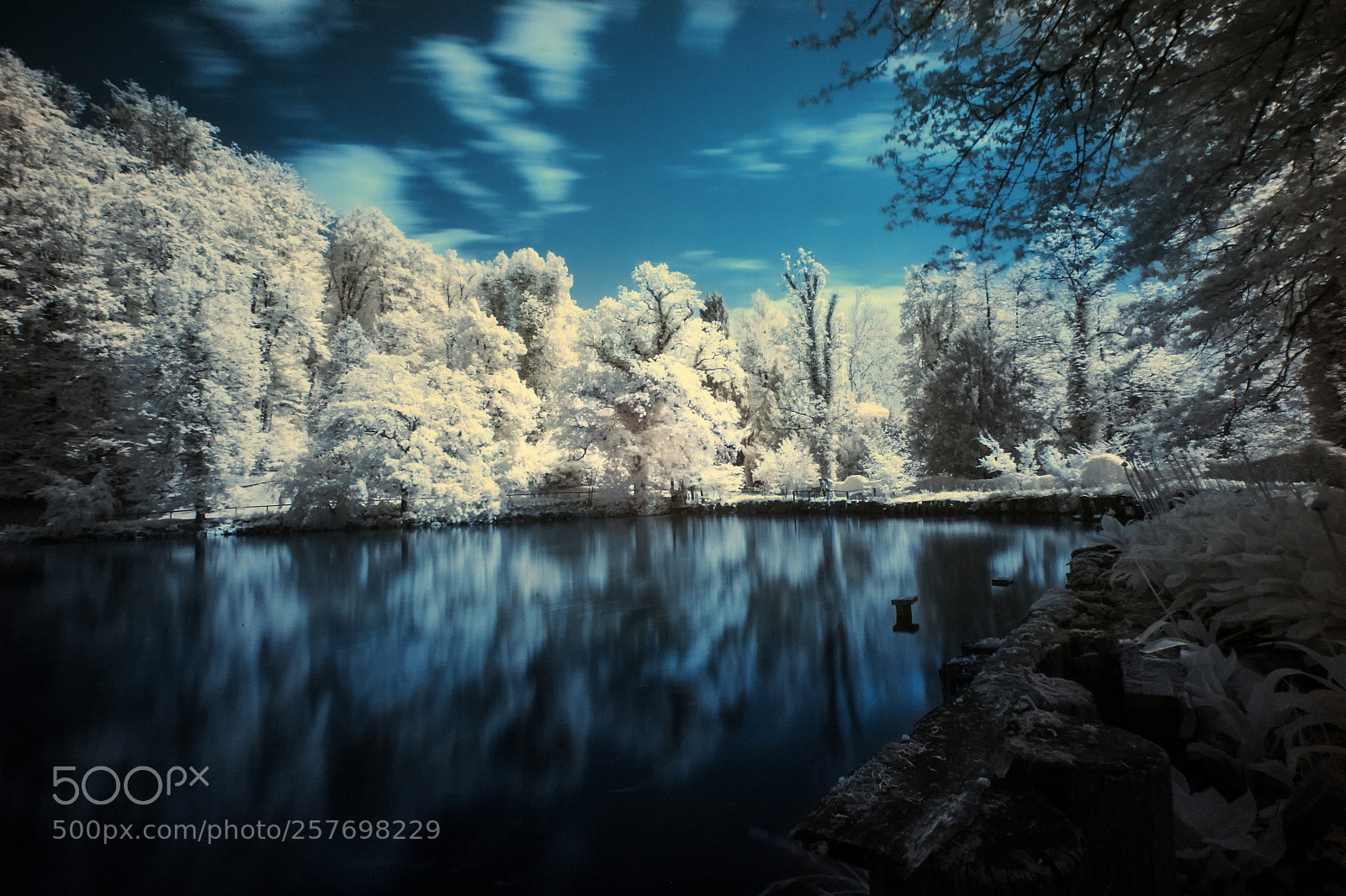 Canon EOS 5D sample photo. Infrared volcji potok arboretum photography
