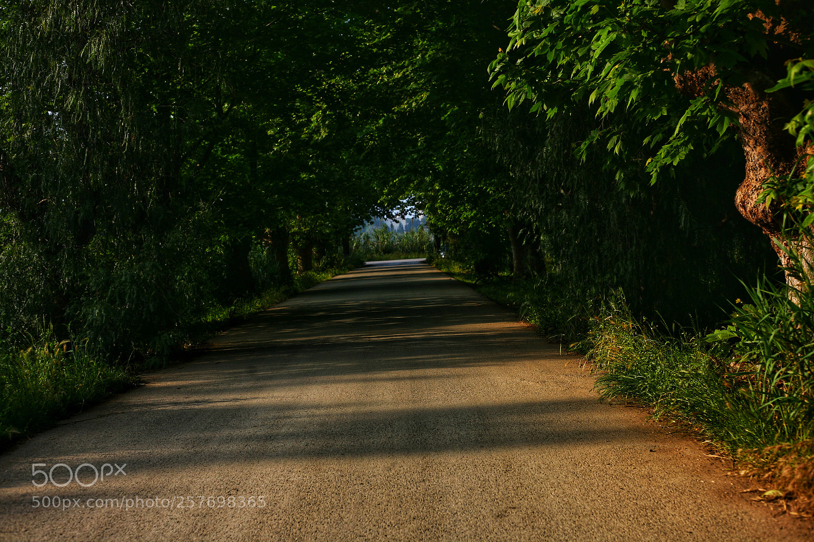 Canon EOS 5D sample photo. Untitled photography