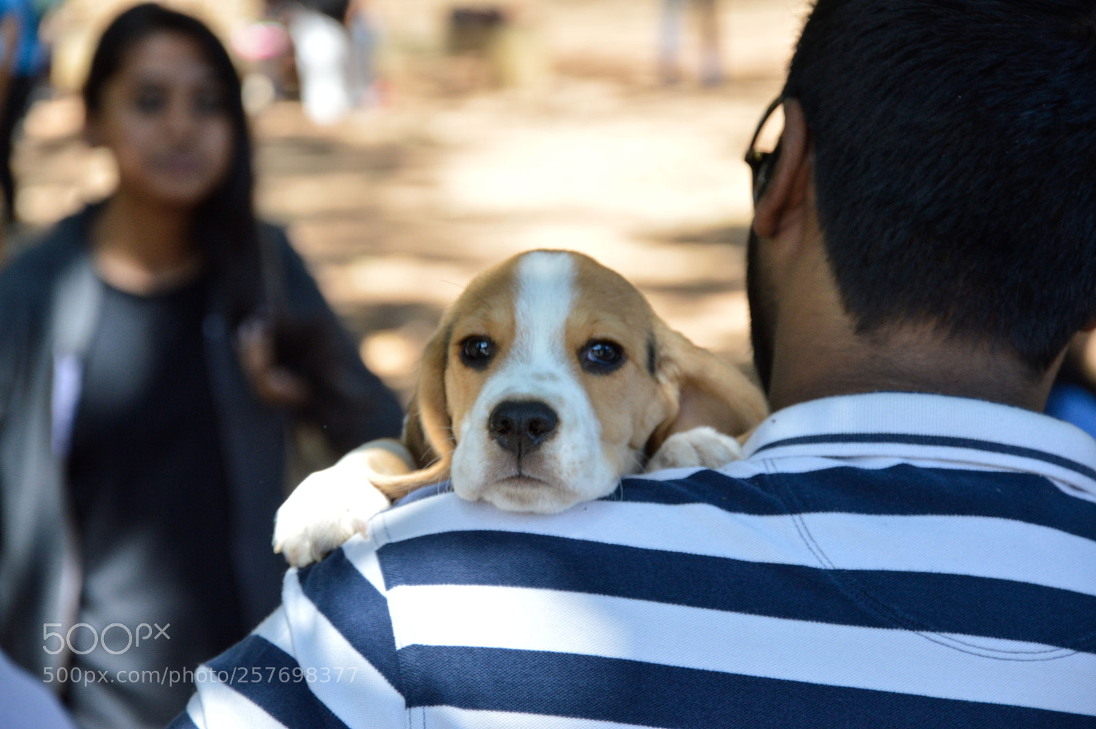 Nikon D3200 sample photo. Dog with his owner photography