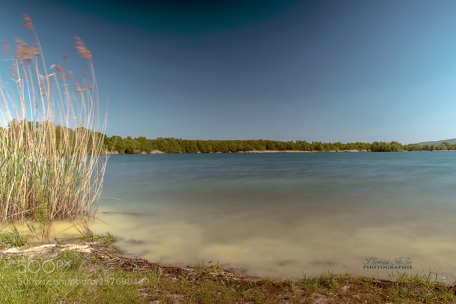 Nikon D750 sample photo. Singlisser see photography