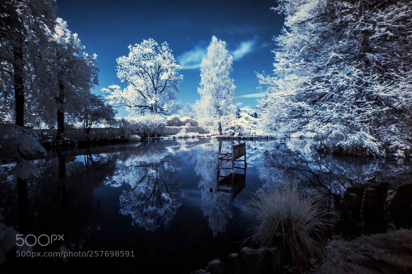 Canon EOS 5D sample photo. Infrared volcji potok arboretum photography