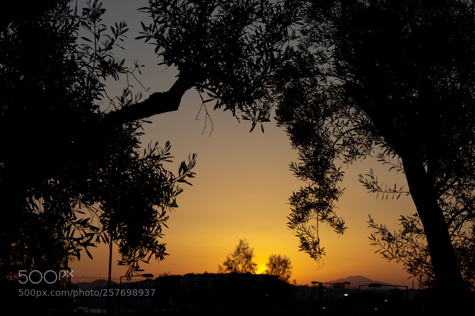 Nikon D3200 sample photo. Stavros niarchos foundation sunset photography